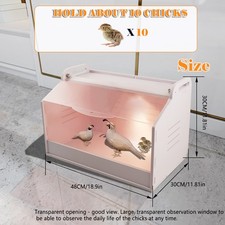 Kükenheim Küken Aufzucht Box