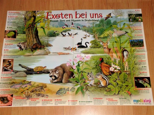 Wissens poster exotische - wissens-poster,