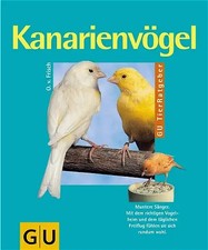 Kanarienvögel. Muntere