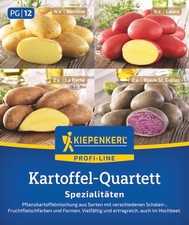 Pflanzkartoffel Quartett
