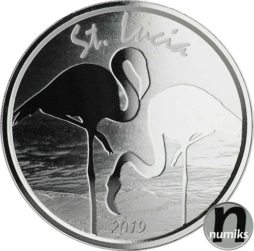 Flamingo 2019 lucia ec8 - 2019,