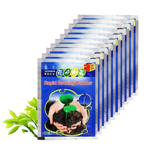 Bewurzelungspulver 100g