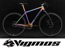 29er Pinion Velo Titan Rad