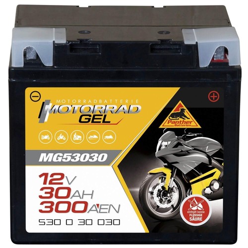 Panther gel batterie 12v - batterie,