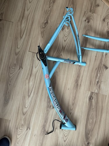Pegasus arcona - pegasus, arcona-26“