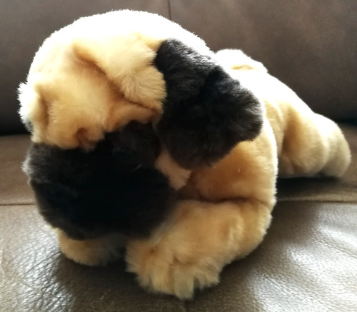 Hübscher mops welpe - "mops, von