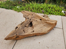 Mangroven wurzel 32x20x12cm - mangroven,