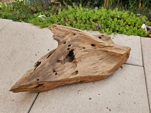 Mangroven wurzel 32x20x12cm - m,