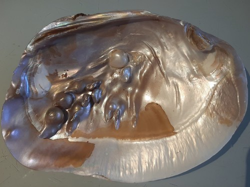 Große perlmutt muschelschale - große, perlmutt-muschelschale