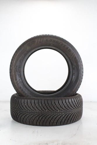 Goodyear vector season - goodyear,