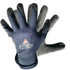 Hase 508660 Padua ice