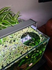 Schwimmender Aquarienring mit