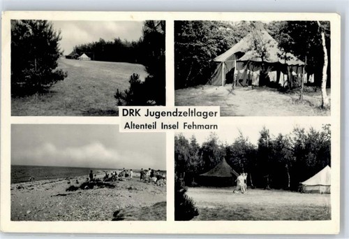 51431164 2449 altenteil drk - 51431164,