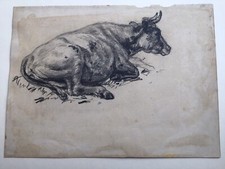 Zeichnung Skizze Bulle/Kuh