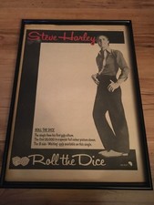 STEVE HARLEY-ROLL THE