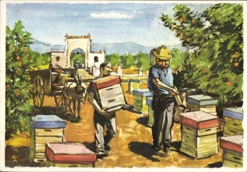 Künstler bienenzucht in - künstler, ak