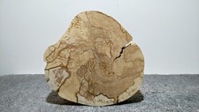 Baumscheibe, Holzscheibe, Holzdeko, Dekoration, gestockt, Erle, extra Dick 4,7cm