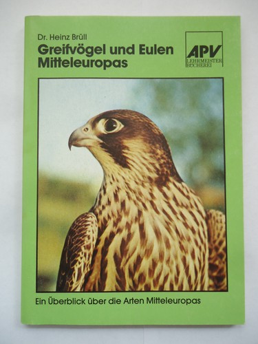 Greifvögel und eulen - greifvögel,