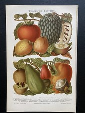 Antique Graphic Podiatry