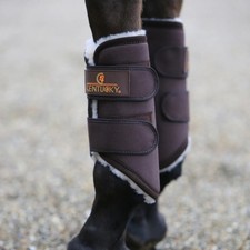 Kentucky Solimbra Brushing