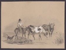 Esel donkey Hund dog Kühe