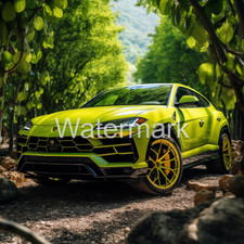 Lamborghini Urus Concept