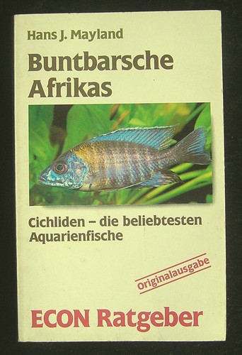 Hans mayland buntbarsche - j.,