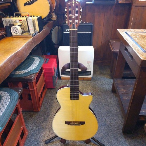 Elektrische akustikgitarre - elektrische,