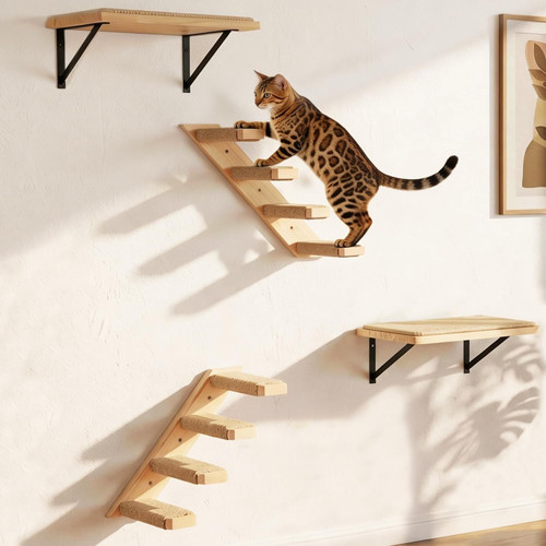 Katzen kletterwand set - katzen,