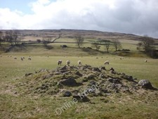 Foto 6x4 Schafe nahe Hawkwick Bridge Der begrünte Schutthaufen ist c2010