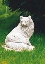 Katze (S164) Katzen Tiere Tier