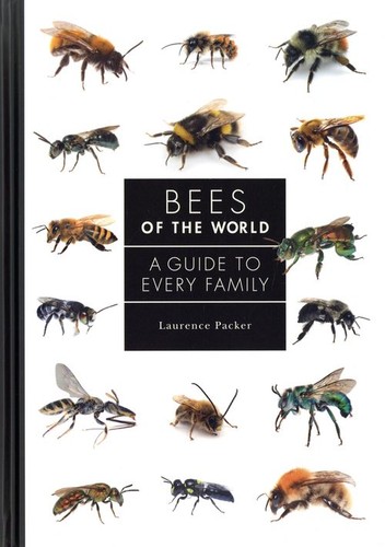 Bees the world - bees,