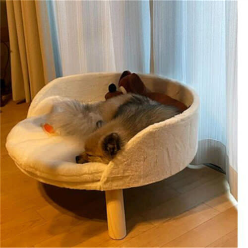 Luxus katzensofa katzen - katzensofa,