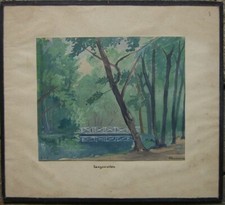 ::DIE LANGEN ERLEN SCHWEIZ