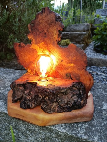 Baumstammlampe,Wurzelholz-LED-