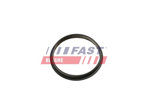 Fast dichtung unterdruckpumpe - dichtung,
