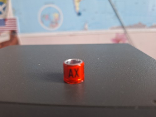 Taubenringe ax 2020 - 1,