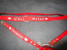 Schöne Leine und Halsband HUNTER , 200cm Größe M + Extra