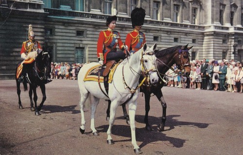 Die königin und h - h.m.,