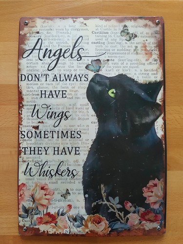 Blechschild katze 20x30 - katze, cm