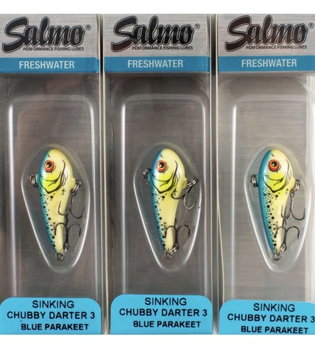 Salmo chubby darter - chubby,