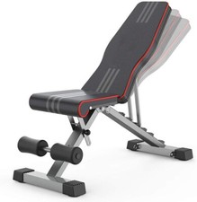 Hantelbank Trainingsbank