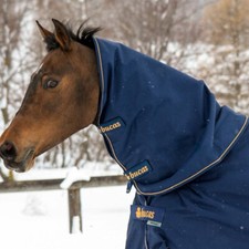 %% Bucas Halsteil Irish