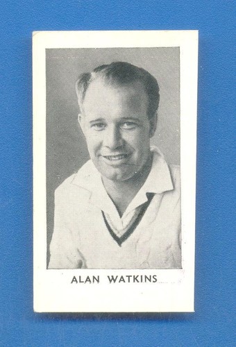 Die weltbesten - die,