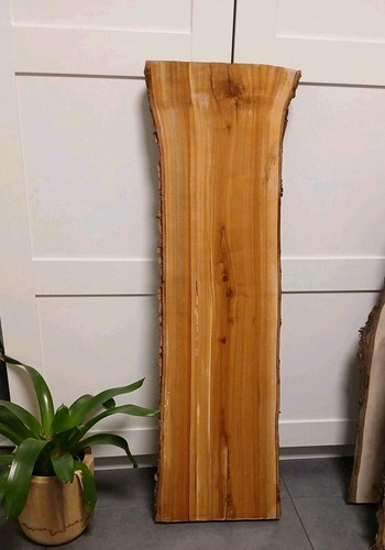 Kirschbaum bohle brett - bohle,