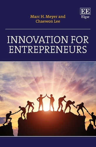 Innovation for entrepreneurs - innovation,