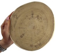 Baumscheibe Holzscheibe OHNE