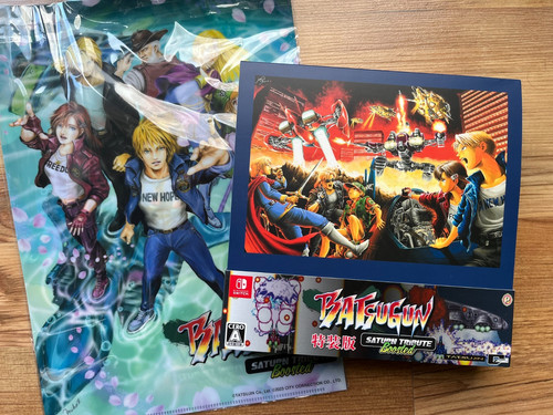 Nintendo switch batsugun - nintendo,