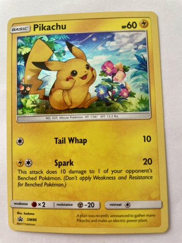 Pikachu sm86 black - pikachu,