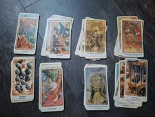 Der Haindl Tarot